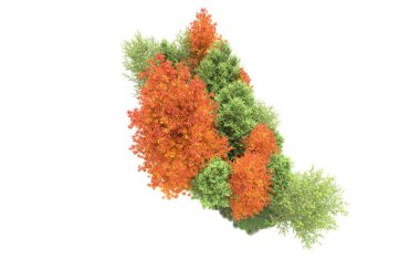 Orman ıssız. Görüntü pankartlar, posterler ya da fotoğraf manipülasyonları için kullanışlı. 3d görüntüleme - illüstrasyon