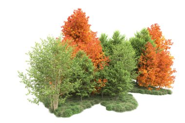 Orman ıssız. Görüntü pankartlar, posterler ya da fotoğraf manipülasyonları için kullanışlı. 3d görüntüleme - illüstrasyon