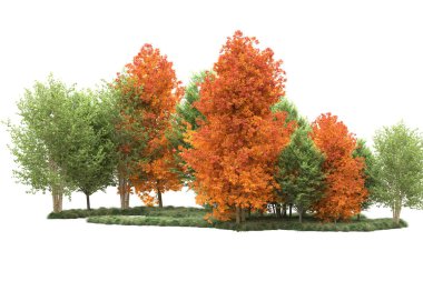 Orman ıssız. Görüntü pankartlar, posterler ya da fotoğraf manipülasyonları için kullanışlı. 3d görüntüleme - illüstrasyon