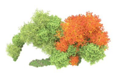 Orman ıssız. Görüntü pankartlar, posterler ya da fotoğraf manipülasyonları için kullanışlı. 3d görüntüleme - illüstrasyon