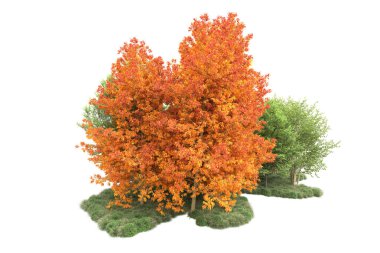 Orman ıssız. Görüntü pankartlar, posterler ya da fotoğraf manipülasyonları için kullanışlı. 3d görüntüleme - illüstrasyon