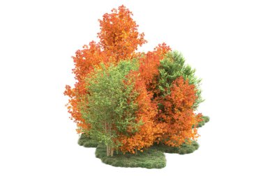 Orman ıssız. Görüntü pankartlar, posterler ya da fotoğraf manipülasyonları için kullanışlı. 3d görüntüleme - illüstrasyon