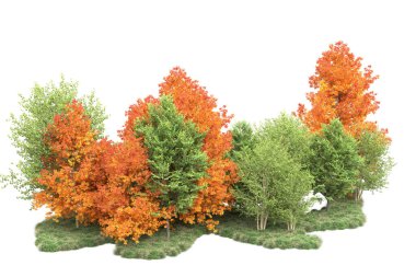 Orman ıssız. Görüntü pankartlar, posterler ya da fotoğraf manipülasyonları için kullanışlı. 3d görüntüleme - illüstrasyon