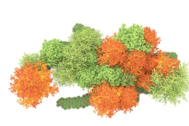 Orman ıssız. Görüntü pankartlar, posterler ya da fotoğraf manipülasyonları için kullanışlı. 3d görüntüleme - illüstrasyon