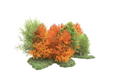 Orman ıssız. Görüntü pankartlar, posterler ya da fotoğraf manipülasyonları için kullanışlı. 3d görüntüleme - illüstrasyon