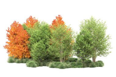 Orman ıssız. Görüntü pankartlar, posterler ya da fotoğraf manipülasyonları için kullanışlı. 3d görüntüleme - illüstrasyon