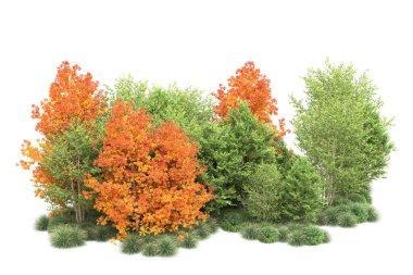 Orman ıssız. Görüntü pankartlar, posterler ya da fotoğraf manipülasyonları için kullanışlı. 3d görüntüleme - illüstrasyon