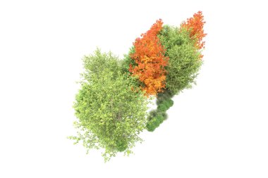 Orman ıssız. Görüntü pankartlar, posterler ya da fotoğraf manipülasyonları için kullanışlı. 3d görüntüleme - illüstrasyon