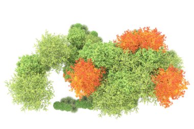 Orman ıssız. Görüntü pankartlar, posterler ya da fotoğraf manipülasyonları için kullanışlı. 3d görüntüleme - illüstrasyon