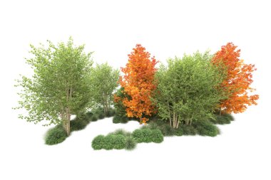 Orman ıssız. Görüntü pankartlar, posterler ya da fotoğraf manipülasyonları için kullanışlı. 3d görüntüleme - illüstrasyon