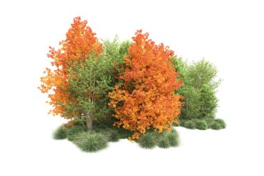 Orman ıssız. Görüntü pankartlar, posterler ya da fotoğraf manipülasyonları için kullanışlı. 3d görüntüleme - illüstrasyon