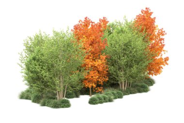 Orman ıssız. Görüntü pankartlar, posterler ya da fotoğraf manipülasyonları için kullanışlı. 3d görüntüleme - illüstrasyon