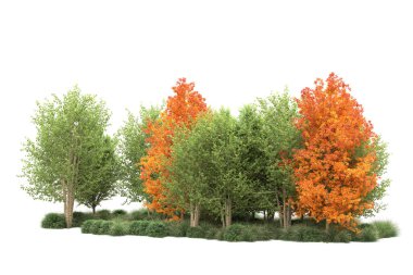 Orman ıssız. Görüntü pankartlar, posterler ya da fotoğraf manipülasyonları için kullanışlı. 3d görüntüleme - illüstrasyon