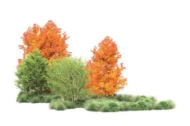 Orman ıssız. Görüntü pankartlar, posterler ya da fotoğraf manipülasyonları için kullanışlı. 3d görüntüleme - illüstrasyon