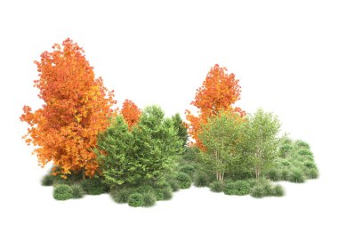 Orman ıssız. Görüntü pankartlar, posterler ya da fotoğraf manipülasyonları için kullanışlı. 3d görüntüleme - illüstrasyon