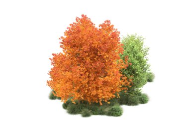 Orman ıssız. Görüntü pankartlar, posterler ya da fotoğraf manipülasyonları için kullanışlı. 3d görüntüleme - illüstrasyon