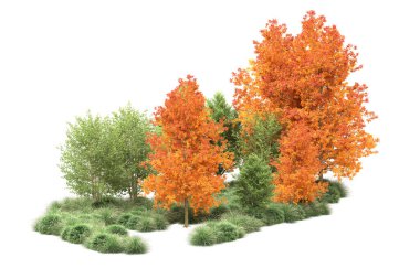 Orman ıssız. Görüntü pankartlar, posterler ya da fotoğraf manipülasyonları için kullanışlı. 3d görüntüleme - illüstrasyon