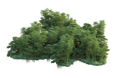 Orman ıssız. Görüntü pankartlar, posterler ya da fotoğraf manipülasyonları için kullanışlı. 3d görüntüleme - illüstrasyon