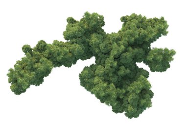 Orman ıssız. Görüntü pankartlar, posterler ya da fotoğraf manipülasyonları için kullanışlı. 3d görüntüleme - illüstrasyon