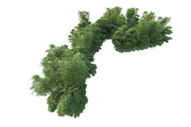 Orman ıssız. Görüntü pankartlar, posterler ya da fotoğraf manipülasyonları için kullanışlı. 3d görüntüleme - illüstrasyon