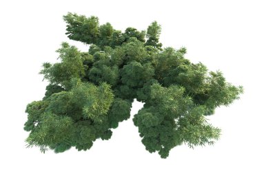 Orman ıssız. Görüntü pankartlar, posterler ya da fotoğraf manipülasyonları için kullanışlı. 3d görüntüleme - illüstrasyon