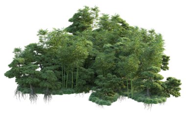 Orman ıssız. Görüntü pankartlar, posterler ya da fotoğraf manipülasyonları için kullanışlı. 3d görüntüleme - illüstrasyon