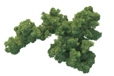 Orman ıssız. Görüntü pankartlar, posterler ya da fotoğraf manipülasyonları için kullanışlı. 3d görüntüleme - illüstrasyon