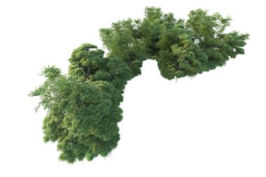 Orman ıssız. Görüntü pankartlar, posterler ya da fotoğraf manipülasyonları için kullanışlı. 3d görüntüleme - illüstrasyon