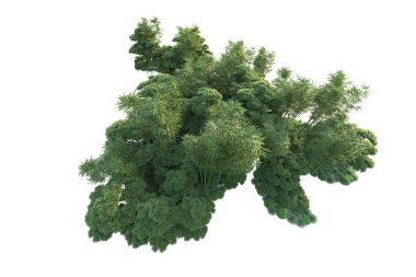 Orman ıssız. Görüntü pankartlar, posterler ya da fotoğraf manipülasyonları için kullanışlı. 3d görüntüleme - illüstrasyon