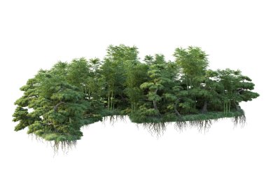 Orman ıssız. Görüntü pankartlar, posterler ya da fotoğraf manipülasyonları için kullanışlı. 3d görüntüleme - illüstrasyon