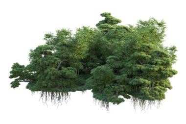 Orman ıssız. Görüntü pankartlar, posterler ya da fotoğraf manipülasyonları için kullanışlı. 3d görüntüleme - illüstrasyon