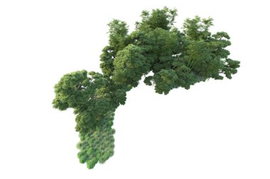 Orman ıssız. Görüntü pankartlar, posterler ya da fotoğraf manipülasyonları için kullanışlı. 3d görüntüleme - illüstrasyon