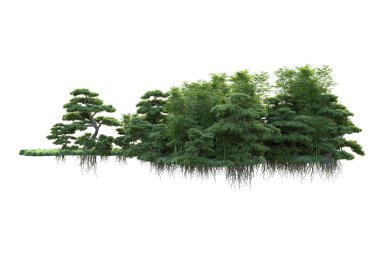 Orman ıssız. Görüntü pankartlar, posterler ya da fotoğraf manipülasyonları için kullanışlı. 3d görüntüleme - illüstrasyon