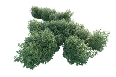 Orman ıssız. Görüntü pankartlar, posterler ya da fotoğraf manipülasyonları için kullanışlı. 3d görüntüleme - illüstrasyon