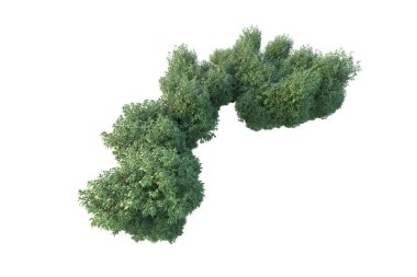 Orman ıssız. Görüntü pankartlar, posterler ya da fotoğraf manipülasyonları için kullanışlı. 3d görüntüleme - illüstrasyon