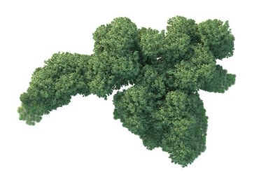 Orman ıssız. Görüntü pankartlar, posterler ya da fotoğraf manipülasyonları için kullanışlı. 3d görüntüleme - illüstrasyon