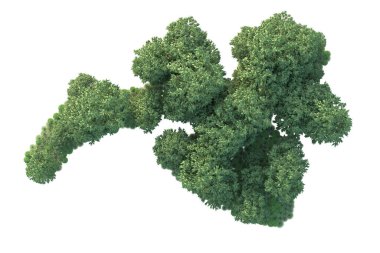 Orman ıssız. Görüntü pankartlar, posterler ya da fotoğraf manipülasyonları için kullanışlı. 3d görüntüleme - illüstrasyon