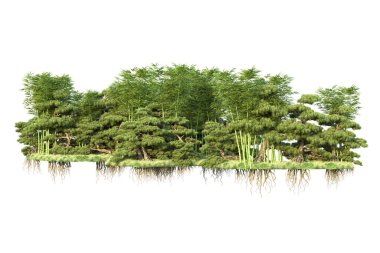 Orman ıssız. Görüntü pankartlar, posterler ya da fotoğraf manipülasyonları için kullanışlı. 3d görüntüleme - illüstrasyon