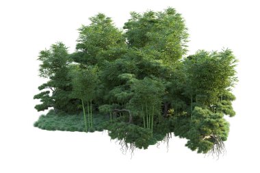 Orman ıssız. Görüntü pankartlar, posterler ya da fotoğraf manipülasyonları için kullanışlı. 3d görüntüleme - illüstrasyon