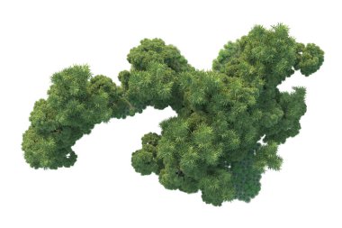 Orman ıssız. Görüntü pankartlar, posterler ya da fotoğraf manipülasyonları için kullanışlı. 3d görüntüleme - illüstrasyon