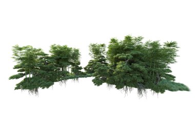 Orman ıssız. Görüntü pankartlar, posterler ya da fotoğraf manipülasyonları için kullanışlı. 3d görüntüleme - illüstrasyon