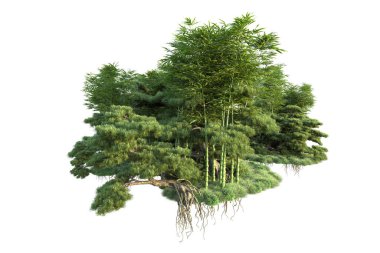 Orman ıssız. Görüntü pankartlar, posterler ya da fotoğraf manipülasyonları için kullanışlı. 3d görüntüleme - illüstrasyon