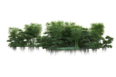 Orman ıssız. Görüntü pankartlar, posterler ya da fotoğraf manipülasyonları için kullanışlı. 3d görüntüleme - illüstrasyon