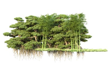 Orman ıssız. Görüntü pankartlar, posterler ya da fotoğraf manipülasyonları için kullanışlı. 3d görüntüleme - illüstrasyon