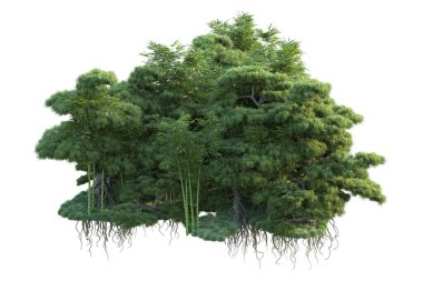 Orman ıssız. Görüntü pankartlar, posterler ya da fotoğraf manipülasyonları için kullanışlı. 3d görüntüleme - illüstrasyon