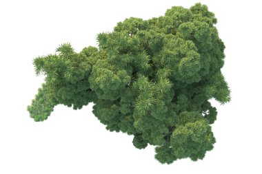 Orman ıssız. Görüntü pankartlar, posterler ya da fotoğraf manipülasyonları için kullanışlı. 3d görüntüleme - illüstrasyon