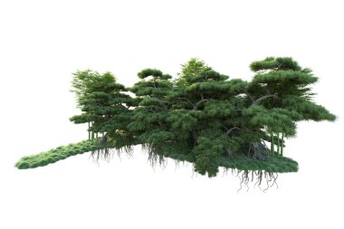 Orman ıssız. Görüntü pankartlar, posterler ya da fotoğraf manipülasyonları için kullanışlı. 3d görüntüleme - illüstrasyon