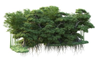 Orman ıssız. Görüntü pankartlar, posterler ya da fotoğraf manipülasyonları için kullanışlı. 3d görüntüleme - illüstrasyon