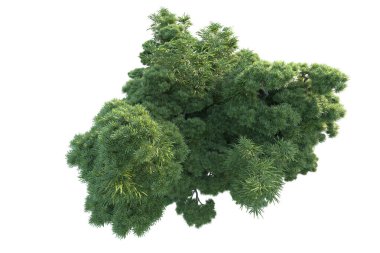 Orman ıssız. Görüntü pankartlar, posterler ya da fotoğraf manipülasyonları için kullanışlı. 3d görüntüleme - illüstrasyon