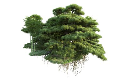 Orman ıssız. Görüntü pankartlar, posterler ya da fotoğraf manipülasyonları için kullanışlı. 3d görüntüleme - illüstrasyon